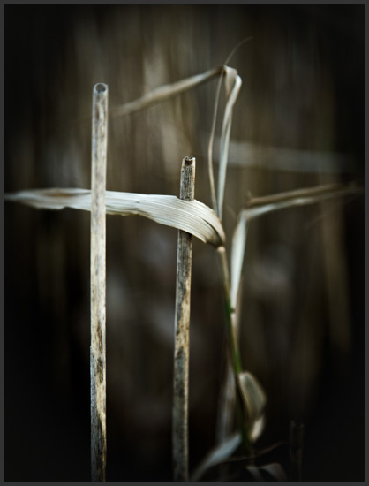 riet-5