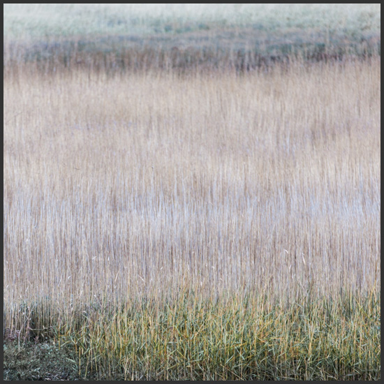 de-slufter-2