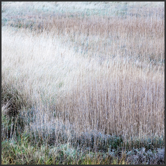 de-slufter-4
