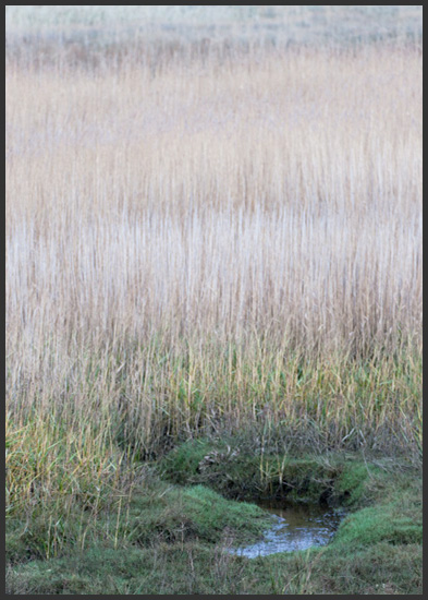 de-slufter-5